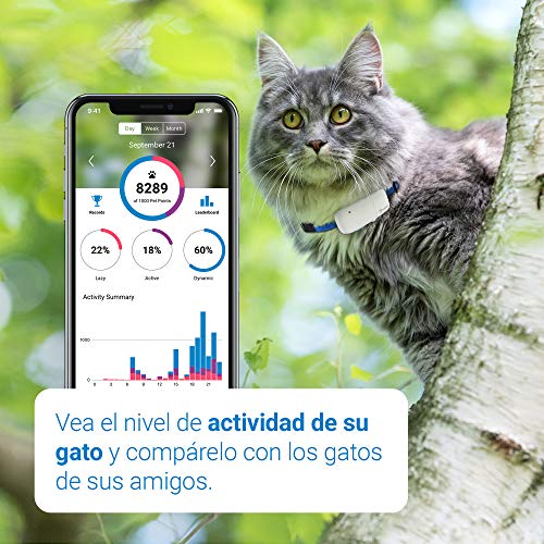 Tractive Localizador GPS para gatos, rango ilimitado, seguimiento de actividad, resistente al agua (Último Modelo)