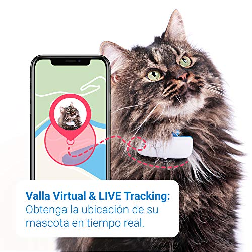 Tractive Localizador GPS para gatos, rango ilimitado, seguimiento de actividad, resistente al agua (Último Modelo)