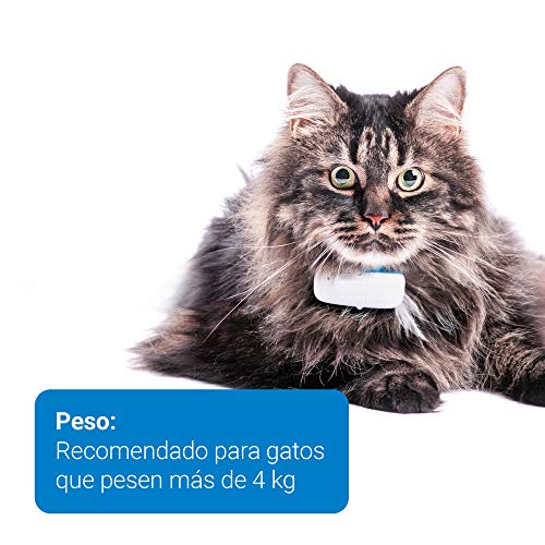 Tractive Localizador GPS para gatos, rango ilimitado, seguimiento de actividad, resistente al agua (Último Modelo)