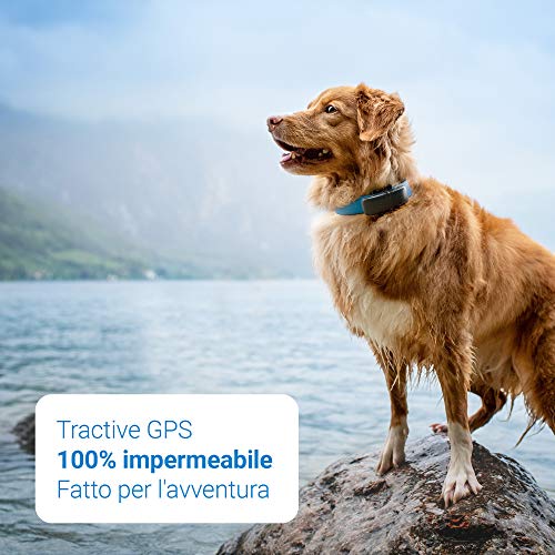 Tractive Localizador GPS para perros, rango ilimitado, seguimiento de actividad, resistente al agua (Último Modelo)