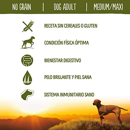 True Instinct No Grain - Comida con pavo para perros adultos, 12 kg