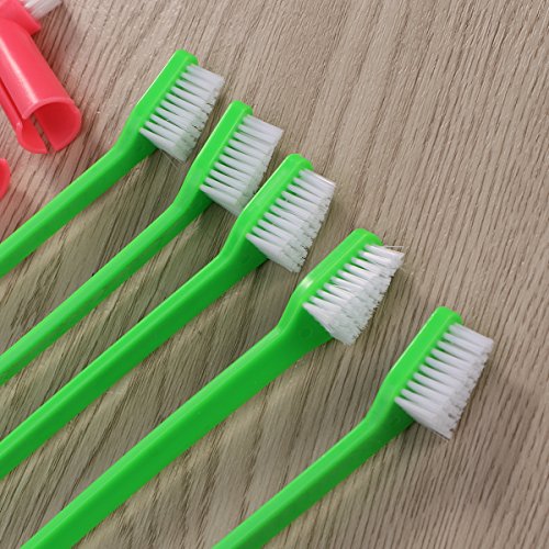 ueetek Juego de 8 gato perro cepillo de dientes Higiene Dental con cabezal doble y perro dedo cepillos para fácil perro Dental Care Durable suave y seguro para todas las razas (color al azar)