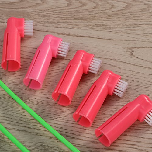 ueetek Juego de 8 gato perro cepillo de dientes Higiene Dental con cabezal doble y perro dedo cepillos para fácil perro Dental Care Durable suave y seguro para todas las razas (color al azar)