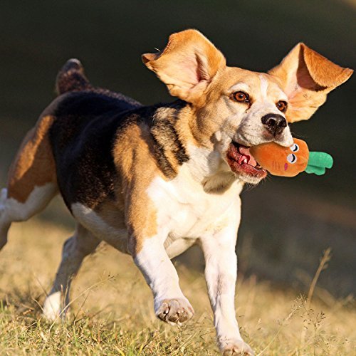 UEETEK Juguetes chirriantes para Perros pequeños, Frutas y Verduras, Juguetes de Peluche para Perros (un Paquete de 5)