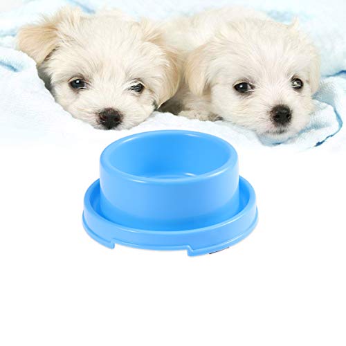 UKCOCO Tazón de Comida Anti-Hormiga para Mascotas, Cuenco de Comida de Agua de Plástico, Recipiente para Alimentos Antideslizante para Perros y Gatos (BLU)