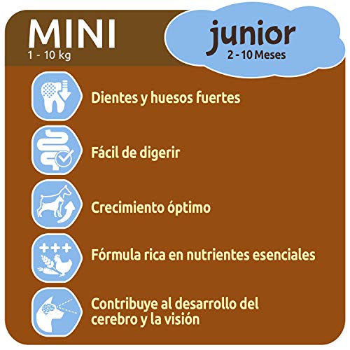 Ultima Pienso para Perros Mini Junior con Pollo - Pack de 8 x 800 g, Total: 6.4 kg