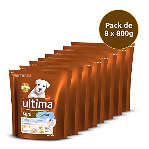 Ultima Pienso para Perros Mini Junior con Pollo - Pack de 8 x 800 g, Total: 6.4 kg