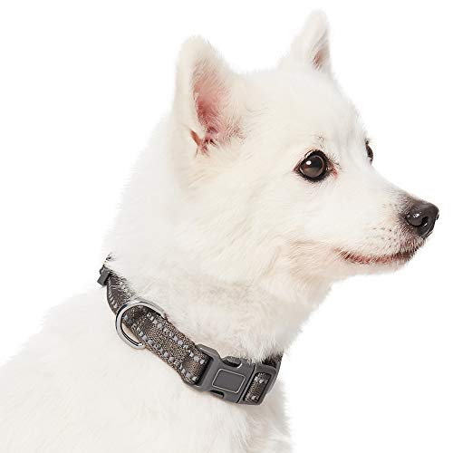 Umi. by Amazon - Pastel - Collar para perros M, cuello 37-50 cm, collares ajustables para perros (gris topo)