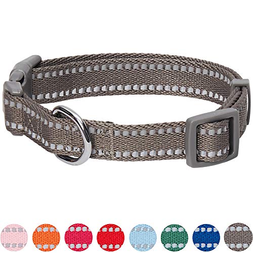 Umi. by Amazon - Pastel - Collar para perros M, cuello 37-50 cm, collares ajustables para perros (gris topo)