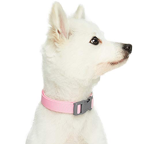 Umi. Essential Classic - Collar para perros M, cuello 37-50 cm, collares ajustables para perros (rosa)