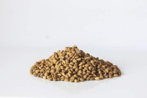 VeggieAnimals - Pienso 100% Vegetal para Gatos, 15 kg