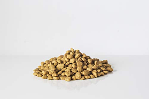 VeggieAnimals Pienso 100% Vegetal para Perros 12,5kg