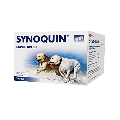 VetPlus Synoquin EFA Envase con 120 Capsulas de Suplemento para Perros Razas Grandes