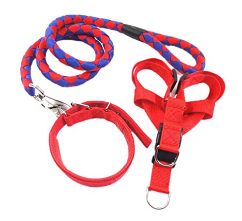 Ylen Nylon Tejido Perro Correa Collar Arnés de Pecho 3 Set Entrenamiento de Mascotas Correas Perfecto para Perros Pequeños Medianos y Grandes