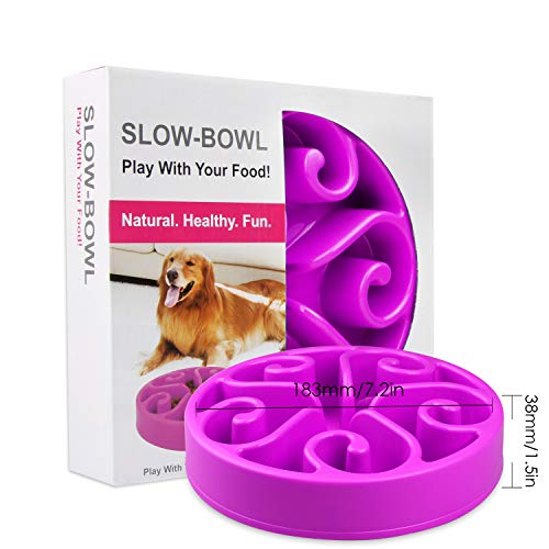 Zellar Comedero Lento para Perros para Mascotas, Platos para Perros y Gatos, Interactivo Mascota Cuenco(Morado)