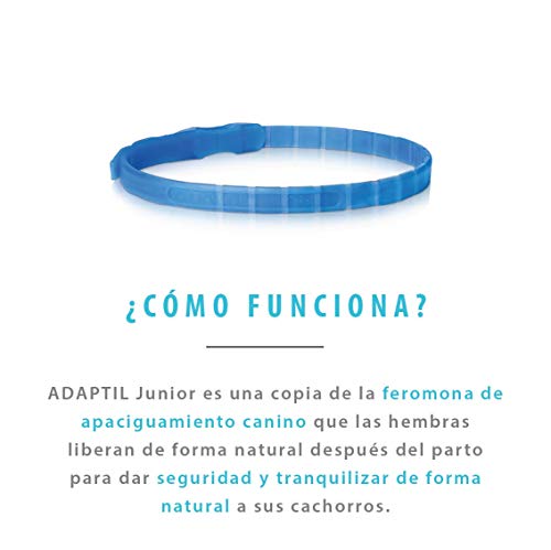 ADAPTIL Junior - Antiestrés para cachorros - Adaptación al hogar, Aprendizaje, Educación, Lloros, Quedarse solo - Collar para Cachorros