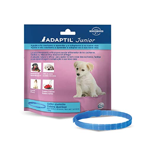 ADAPTIL Junior - Antiestrés para cachorros - Adaptación al hogar, Aprendizaje, Educación, Lloros, Quedarse solo - Collar para Cachorros