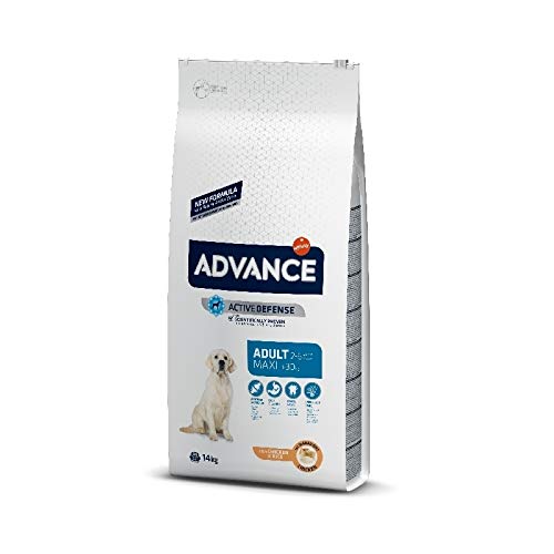 Advance Maxi Adult 14 kg