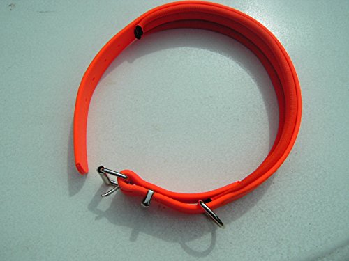 Angel for Pets MJH BioThane® - Collar Brillante, Forrado, Cosido y Ajustable 38 mm con Neopreno Naranja