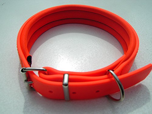 Angel for Pets MJH BioThane® - Collar Brillante, Forrado, Cosido y Ajustable 38 mm con Neopreno Naranja