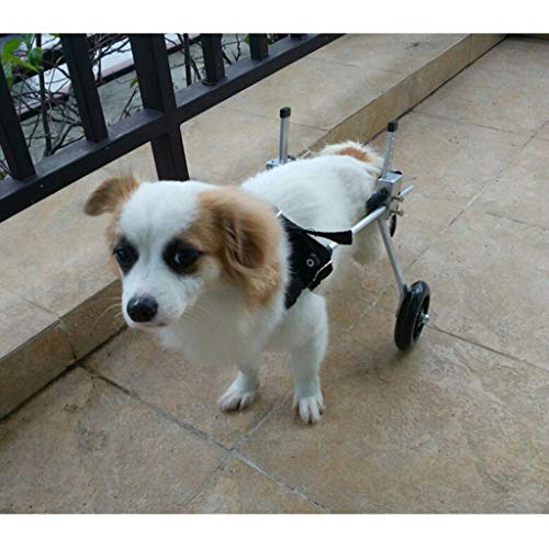 AnnCWLY Silla de Ruedas para Mascotas, Modelo S, Adecuado para Altura 28-33/32-37cm, Peso 4-9kg Ropa para Perro, Longitud, Ancho y Altura Patilla Trasera para Entrenamiento de incapacidad Ajustable