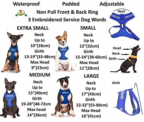 Arnés para perro, impermeable y acolchado, de color azul, con anilla frontal para evitar los tirones y con escrito «Service dog», previene los demás de la presencia de tu perro para evitar los accidentes