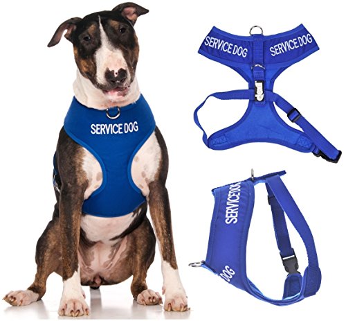 Arnés para perro, impermeable y acolchado, de color azul, con anilla frontal para evitar los tirones y con escrito «Service dog», previene los demás de la presencia de tu perro para evitar los accidentes