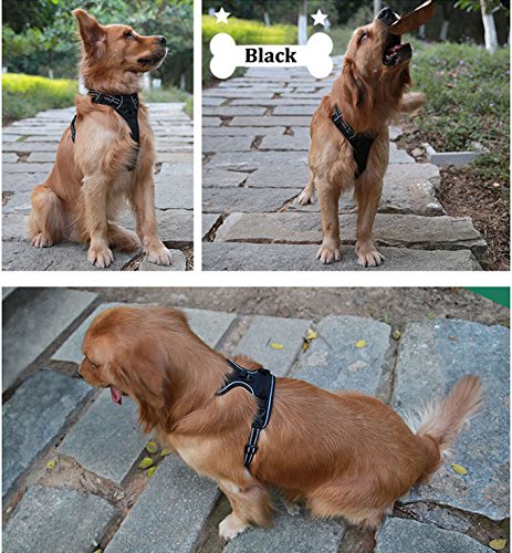 BabycarePro Reflectante Árnes Perro Resistente Chaleco de Seguridad NO Elástico Árnes Flexible y Ajustable de Malla Transpirable para Perros, Negro