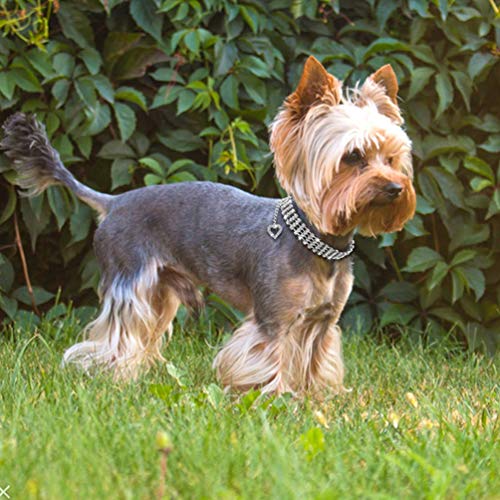 Balacoo Collar de Cristal para Perros con Encanto de Corazón Collar de Perlas para Mascotas Collar de Diamantes de Imitación Collar Foto Prop Joyería para Cachorro Perro Gato