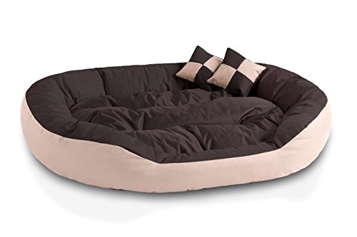 BedDog® 4en1 Saba Beige/Marron XXL Aprox. 110x80cm colchón para Perro, 7 Colores, Cama, sofá, Cesta para Perro