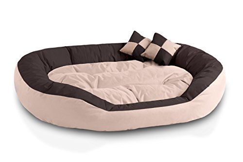 BedDog® 4en1 Saba Beige/Marron XXL Aprox. 110x80cm colchón para Perro, 7 Colores, Cama, sofá, Cesta para Perro