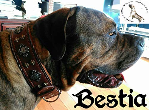 Bestia Collar de Perro Aztec de Cuero Genuino para Perros Grandes. 100% Cuero. Hecho a Mano en Europa!