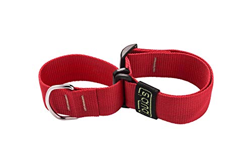 bub's Collar Martingale - Collar para Perro Grande/Mediano, antialérgico y Suave.Diseñado para Todo Tipo de Razas de Perro y Especialmente para Galgos(Comprobar tamaño: Cuello 26 a 45) Color Rainbow