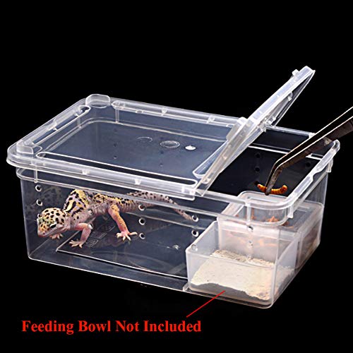 Caja de plástico Transparente Terrario de Reptiles de Insectos Cría Clara Caja de alimentación de Alimentos Vivos Serpientes Lagarto Ranas Casa