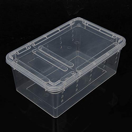 Caja de plástico Transparente Terrario de Reptiles de Insectos Cría Clara Caja de alimentación de Alimentos Vivos Serpientes Lagarto Ranas Casa