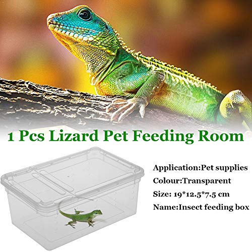 Caja de plástico Transparente Terrario de Reptiles de Insectos Cría Clara Caja de alimentación de Alimentos Vivos Serpientes Lagarto Ranas Casa