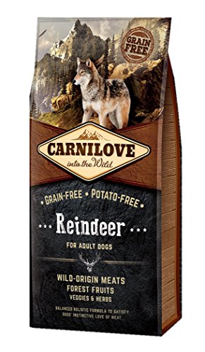 Carnilove 508884 Adulto Reno 12 kg - Comida Seca para Perros (Adulto, Reno, 12 kg)