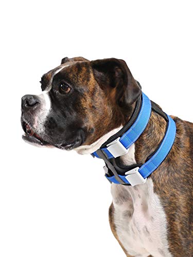 Cesar Millan, Collares de Perro, Pack Leader Collar, Gris (Grande)