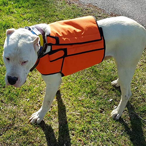 Chaleco protección para Perro de Caza jabalí Fabricado en Material Multicapa Muy Resistente Talla S Macho