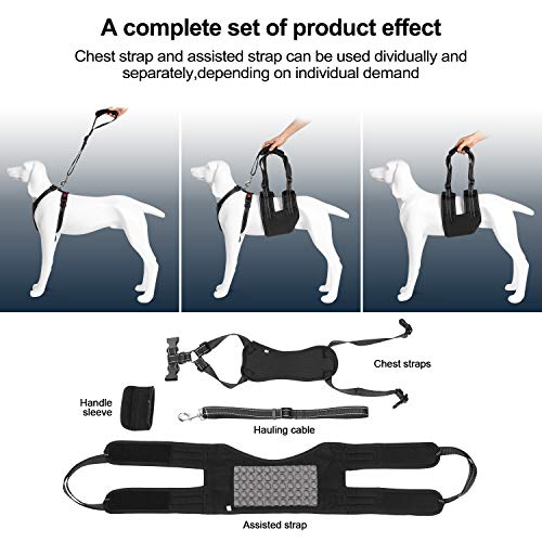 Conjunto de arnés de Soporte para Perros,Perro elevación Soporte arnés canino Ayuda rehabilitación arnés para Perros con Patas traseras débiles,Correa asistida y Cable de Transporte,XL