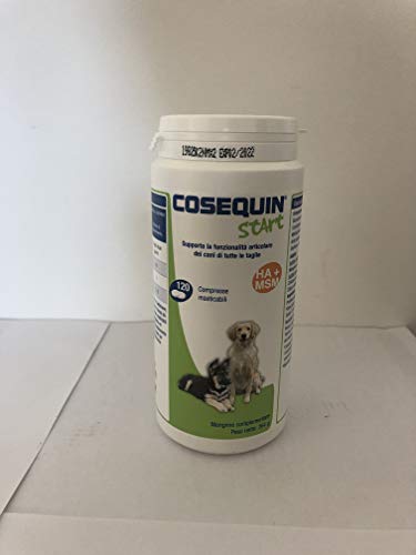 COSEQUIN 00.1420.00 Start - Perro de Nieve (120 CPS, 0,26 kg)