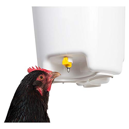 Cubeta bebedero para aves, gallinas, gallos, con tres pezones con filtro 12L