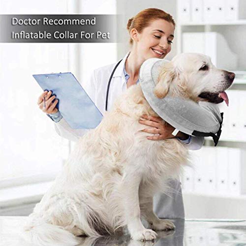 Cuello protector hinchable para perros y gatos. De tacto suave y con hebilla ajustable. Ideal para la recuperación tras una cirugía, o para curar heridas. No bloquea la visión