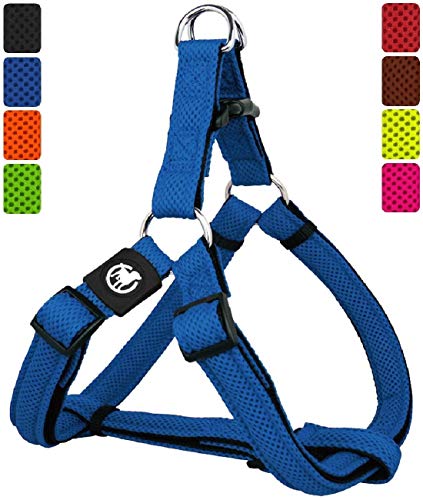 DDOXX Arnés Perro Step-In Air Mesh, Ajustable, Acolchado | Diferentes Colores & Tamaños | para Perros Pequeño, Mediano y Grande | Accesorios Gato Cachorro | Azul, S