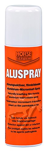 Desinfektionsspray ALUSPRAY - silber, 200