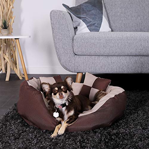 Dibea - Cama para Perros 4 en 1, cojín para Perros, Cesta para Perros con cojín Reversible, Color marrón/Beige, tamaño S