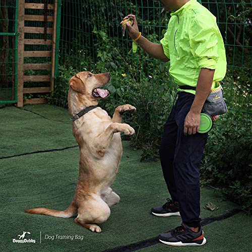 DoggyDobby Bolsa Entrenamiento Perro con Ajustable y Extraible Correa de Cintura y Correa para el Hombro, Dispensador Bolsas Caca Perro, Facil de llevar Comida perro, Juguetes, Iphone 6 Plus, etc