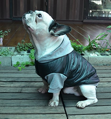 Doggydolly - Chaqueta de Invierno para Perro con Capucha para Perro Pug y Bulldog francés, Color Negro y Gris, tamaño Mediano