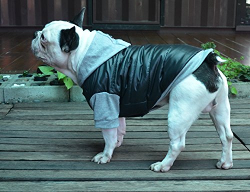 Doggydolly - Chaqueta de Invierno para Perro con Capucha para Perro Pug y Bulldog francés, Color Negro y Gris, tamaño Mediano