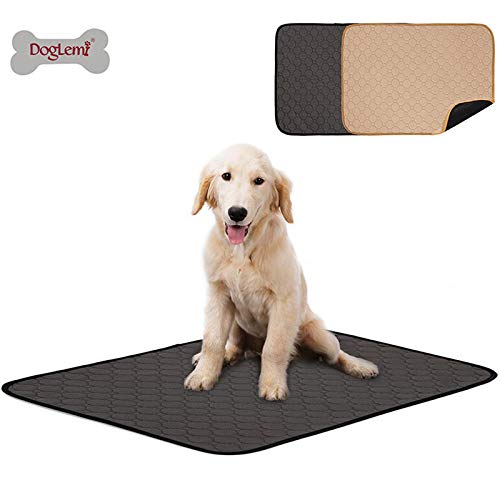 Doglemi - Almohadillas de Entrenamiento para Perros, Lavables y de rápida absorción, Reutilizables, con Parte Inferior Antideslizante e Impermeable para Cachorros en Interiores y Viajes en Coche